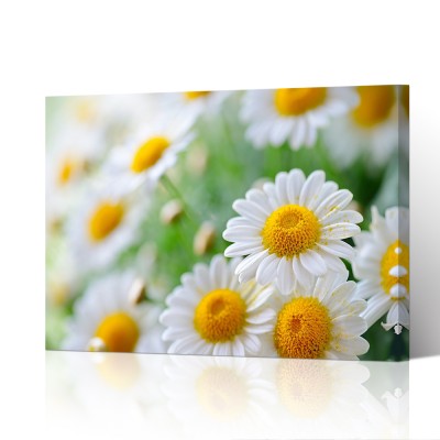 Flower Wall Art Daisy Flower Blooms Floral Painting Canvas Artwork Home Wall Decor