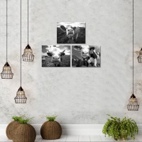 Cow Painting Black and White Farm Animal Picture Canvas Prints 3 Pieces