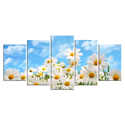 5 Piece Canvas Print African Daisy Flower Wall Art White Floral Field under Blue Sky Landscape Picture Painting