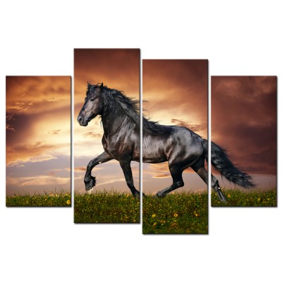 4 Pieces Horses Picture Animals Poster Canvas Prints Wall Art Decoration